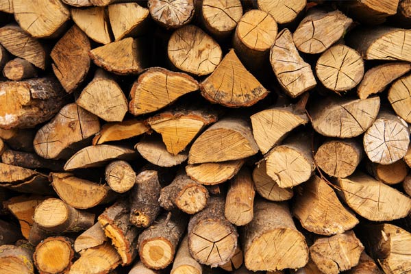 چگونگی تشخیص چوب مبل